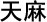Gastrodia Elata chinese herb quit smoking