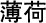 Peppermint chinese herb stop smoking