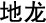Pheretima_Asiatica chinese medicinal herb stop smoking
