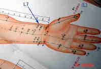 acupuncture acupressure lungs meridian points L7