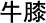 achyranthes chinese herbal medicine