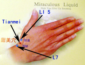 Tian-Mei Tim Mee acupoint