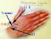 Tianmei acupoint  acupuncture acupressure points